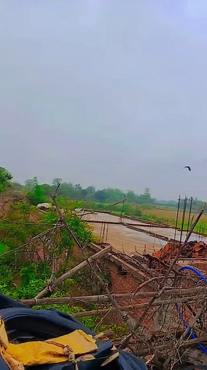 Priya Verma on Reels