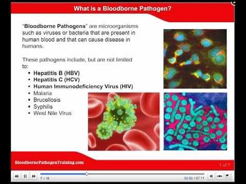 OSHA Bloodborne Pathogen Training, Bloodborne Pathogen Video