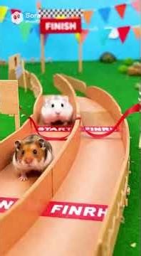 ハムスターレース総集編④ #生成ai #ハムスター #cute #hamster #funny