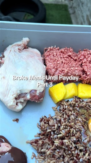 Complete Guide to Raw Dog Food Essentials