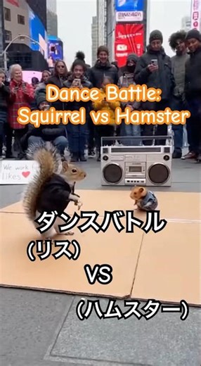 [Dance Battle: Squirrel vs Hamster-ダンスバトル リスVSハムスター]