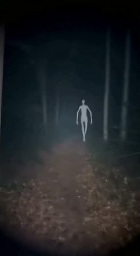 Creature Caught on Camera in the Forest at 3AM — What Is This?!