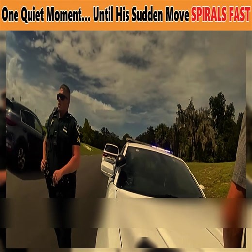 One Quiet Moment… Until His Sudden Move SPIRALS FAST | Reddit Wonmen