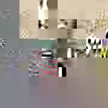 Rescued baby wombat starts sleeping outside and brings his stuffed animals to keep him company ❤️ | The Dodo