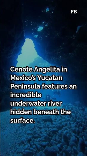 Cenote Angelita: Mexico’s Mysterious Underwater River and Its Stunning