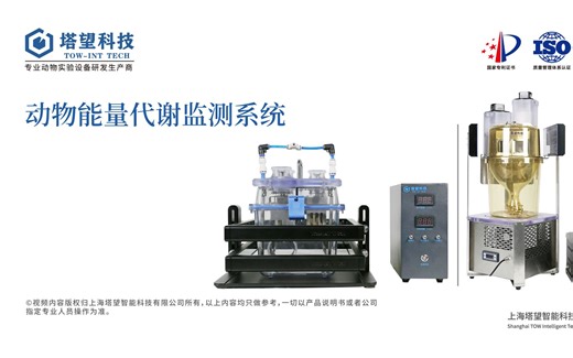 动物能量代谢监测系统