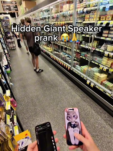 Hidden Giant speaker in store prank #prank #publicprank #meme | pranks