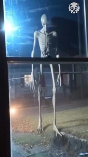 Spooky alien caught on camera - AI video | Truques do Panda