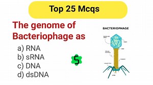 7K views · 154 reactions | Top 25 Mcqs of Biology  #fblifestyle | Conceptual Biologist | Facebook