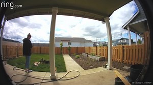 6.3K views · 281 reactions | Panda Paws Rescue on Reels | Facebook