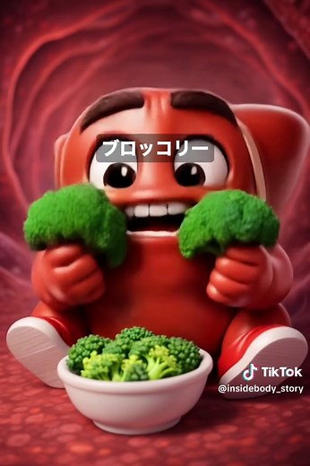 肝臓に優しい食べ物を知ろう！