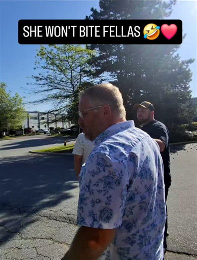 Matthew Green on Instagram: "Very thankful for a new group of hungry fellas but they are a little standoffish 🤣😜 @lanuzagreen @thegreensndbeansgirl #foodtruck #coffeetruck #lunchtruck #chuckwagon #cateringtruck #greensandbeansdeli #food #foodporn #foodie #foodies #funny #people #canteen #business #restaurant #restaurantbusiness #breaktime ##canteentruck #work #working #happy #breakfast #breakfastideas #breakfasttime ##coffeebean #coffeelover #coffeelovers #coffee #interactive #interaction"