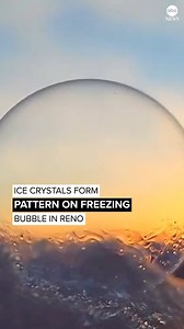30K views · 882 reactions | Video shows ice crystals forming on a freezing soap bubble in Reno, Nevada as the region experienced cold temperatures. https://trib.al/TGcnunX | ABC News | Facebook