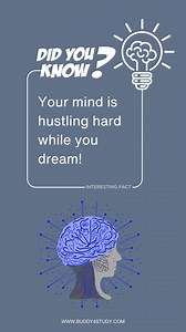 4.2K views · 20 reactions | During sleep—especially during REM (rapid...