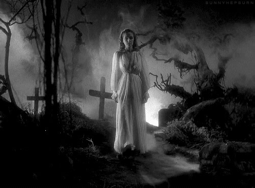 The Vault of Horror on Reels