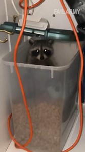 571K views · 280 reactions | Petulant pets, crushed cars, messy makeup, graduation goofs and many more hilarious happenings are showing summer 2022 is going to be one for the ages. Happy Fail Friday! | FailArmy 2.0 | Facebook