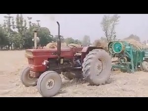 FIAT 640 (62HP) Working with Wheat Thresher at 1600 RPM Must Watch