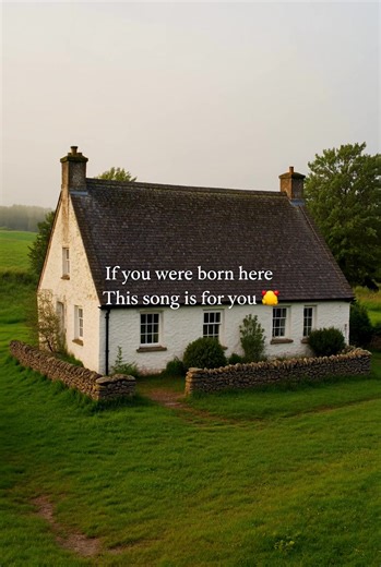 Some songs aren’t written — they’re remembered 🍀 If you’re Irish or if Ireland lives in you this one’s for home 🎧 Full song on Spotify, Amazon & Apple Music Search Born Here Studio #BornInIreland #IrishMusic #IrishTikTok #IrishDiaspora #FolkMusic
