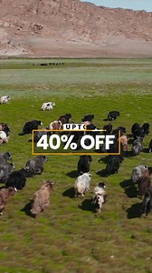 🌟 Sikkim – Where Every Turn is a New Wonder! 🌟 Pack your bags for an incredible journey through Sikkim’s scenic wonders! From snow-clad Kanchenjunga to the calm waters of Tsomgo Lake, every moment here feels like a postcard come to life. 🌄✨ 🟣 Package Highlights: • Up to 40% OFF on your dream trip to Sikkim! 🏷️ • Hassle-free private transfers for a smooth experience 🚐 • Comfortable stays in cozy hotels and resorts 🌿 • Handpicked spots like Yumthang Valley, Teesta River, and more 🗺️ 🌿 Wha