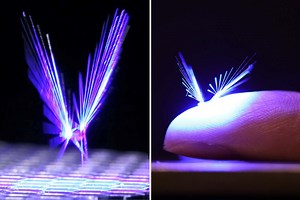 Bizarre 'robot flies' revealed, and they could replace bees and 'save humanity'