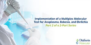Implementation of a Multiplex Molecular Test for Anaplasma, Babesia, and Ehrlichia