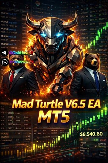 Mad Turtle V6.5 EA MT5 Automated Forex Robot FREE DOWNLOAD الاكسبرت الأكثر ربحا في الفوركس