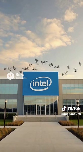 #hopecore #pigeon #brainrot #fyp #intel