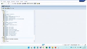 SAP新手必须明白的几件事-传输请求DEV QAS PRD SCC1 STMS-part3