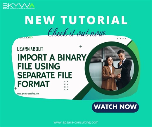 How to import Binary data using a separate file CSV, XML, JSON format? | Apsara Consulting GmbH