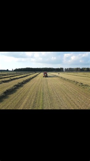 Bank more profit from 9, 18 and 21 small square bale bundles with the Marcrest 210 Baler & Bale Baron®. Horse owners pay more for the convenience and easy handling of small square bales. Higher Prices = More profit in your pocket. Bale in the field, or rebale when you have the time. marcrestmfg.com #marcrest #marcrestmfg #balebaron #baling #balinghay #haybales #strawbales #qualityhay #horsehay #equine #equestrian #smallsquarebales #smallbales #smallbalesbigproduction | Marcrest