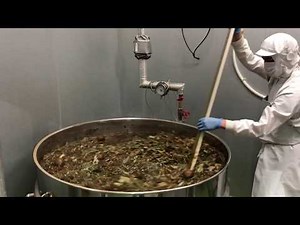 野草酵素の発酵風景3