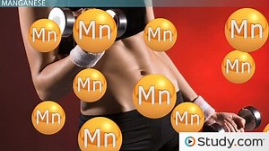 Manganese | Deficiency & Toxicity Symptoms