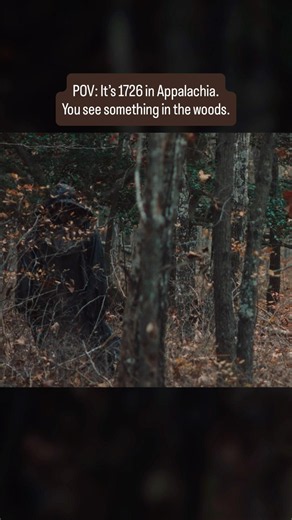 If you think you saw something, no you didn’t #cherokeeindian #nativeamerican #horror #appalachia