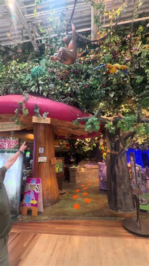 Rainforest Cafe Ontario: A Unique Dining Adventure