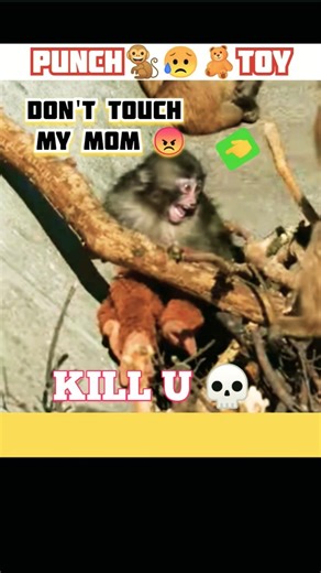 ANGRY PUNCH 😡 KILLER ATTITUDE FOR TOY MOM 🧸 #shorts #punch