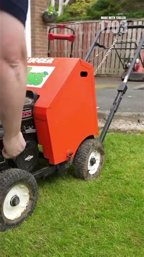 Transform Your Lawn: Dethatching Secrets Revealed!