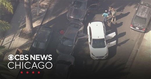 Deputy US Marshal and suspect shot during ICE operation in Los Angeles