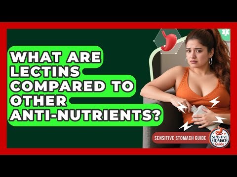 What Are Lectins Compared To Other Anti-nutrients? - Sensitive Stomach Guide