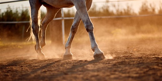 Daughter of Topeka native Ryan Domer and his wife Kelsie dies in tragic accident