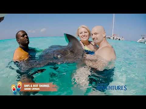 Grand Cayman Shore Excursion: Stingray City | Carnival Cruise Line