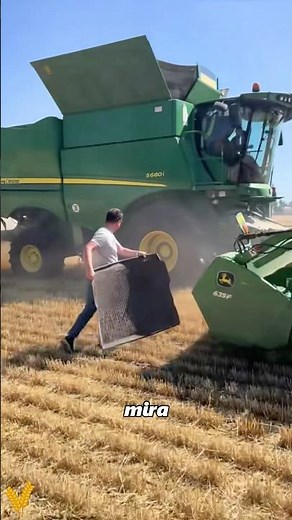 Not Picking Wheat—But Testing the Combine’s Efficiency 🔍#foryou #natural #didyouknow #us #youtube
