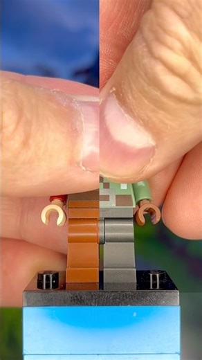 Which Player Skin Wins? (LEGO Minecraft)