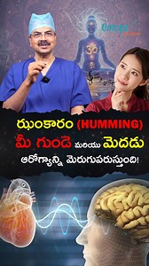 317K views · 7.8K reactions | ఝంకారం (HUMMING) మీ గుండె మరియు మెదడు...