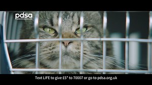 PDSA Vaccination (Talking Dog) TVC