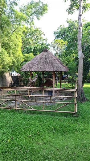 #Namaste is time to do some yoga les