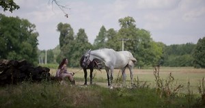 clip-1038297593-woman-riding-horse-on-farm-recreation--