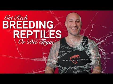 Quit Your Job to Breed Reptiles? The Math Behind It All