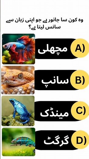 Mr quiz?question and answer? #mrquiz #triviatricks #mindbendingquiz #quizquestion #generalknowledge