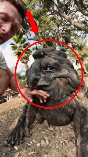 These Are the Slowest Animals on Earth (The Last One Barely Moves 😳)