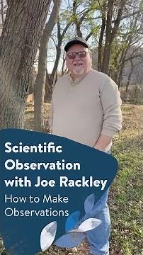 Scientific Observation with Joe Rackley || How to Make Observations